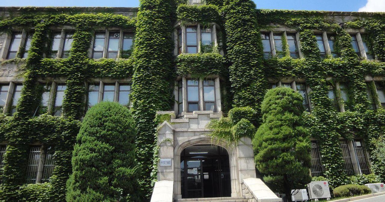 Photo of a prestigious Korean educational institution, its facade covered with vibrant green ivy.